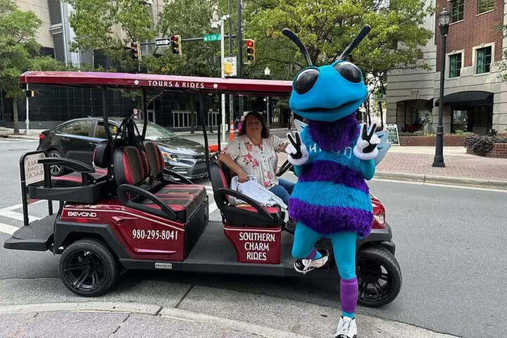 Charlotte's Ultimate Southern Charm Historical City Cart Tour
