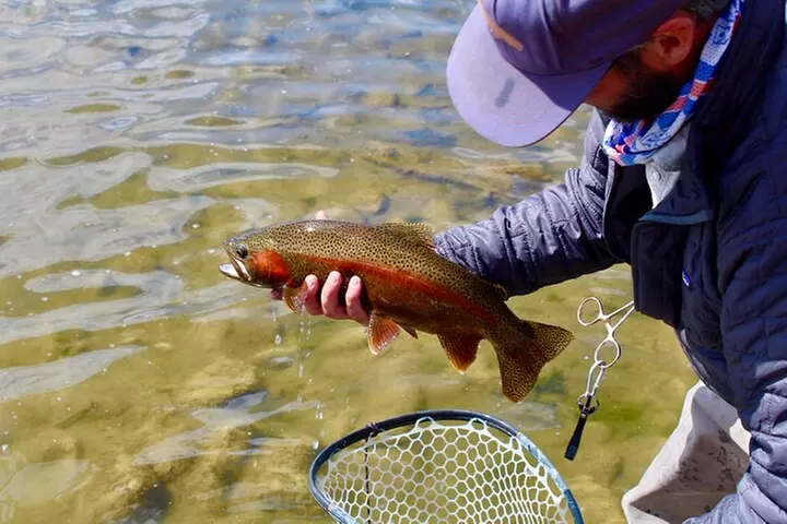 Yellowstone Full Day Wade Fishing Trip - Second Medium