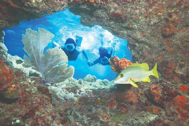 Key West Double-Dip Snorkel Tour-Two Stops, Twice the Fun!