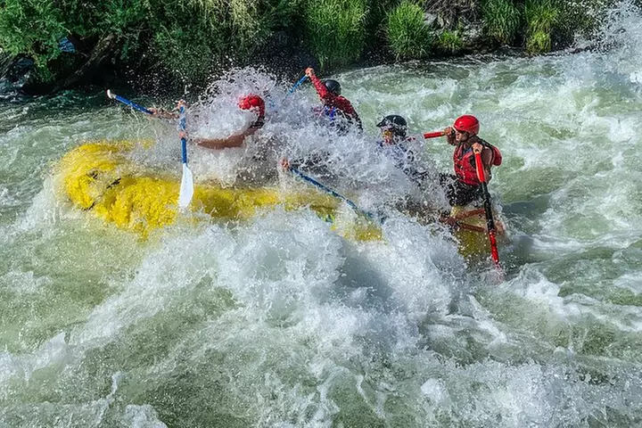Nugget Falls class IV Half-Day Rafting on The Rogue River