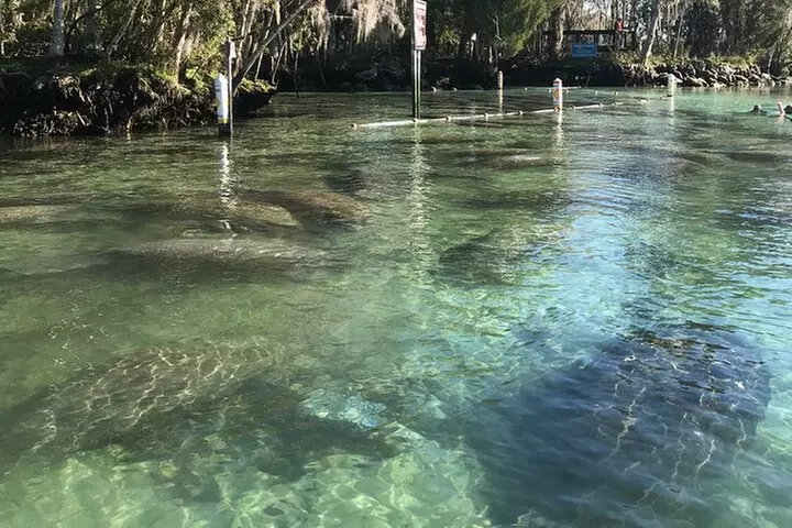 Crystal River Three Sisters Springs and Manatee Clear Kayak Tours
