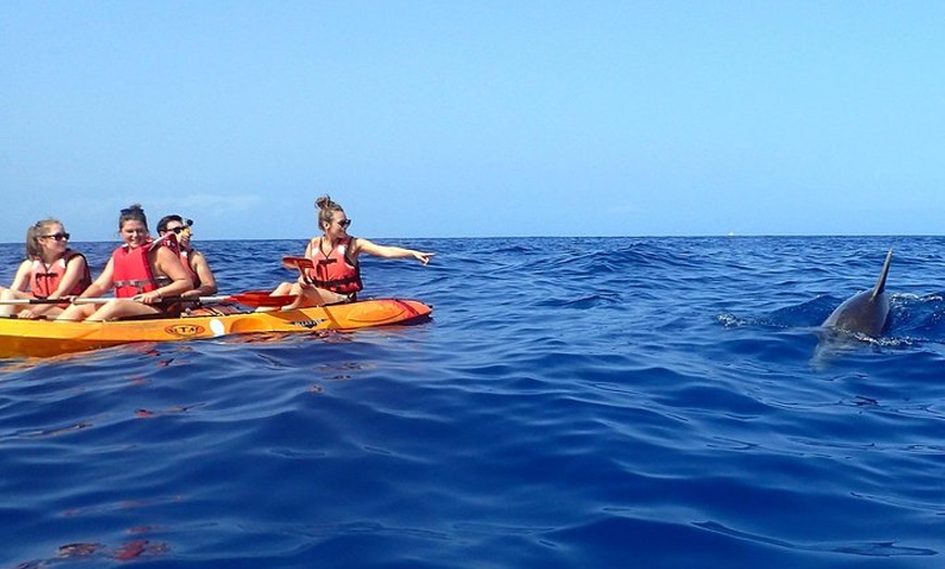 Image 8: Kayak con delfines y tortugas y esnórquel en Tenerife