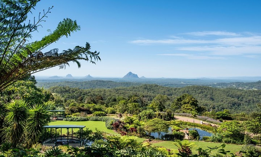 Image 8: Maleny Botanic Gardens Bird Aviary Experience Ticket