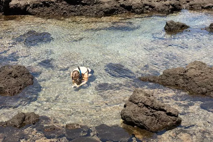 Secret Tide Pool Hike - Jungle & Coast - Private