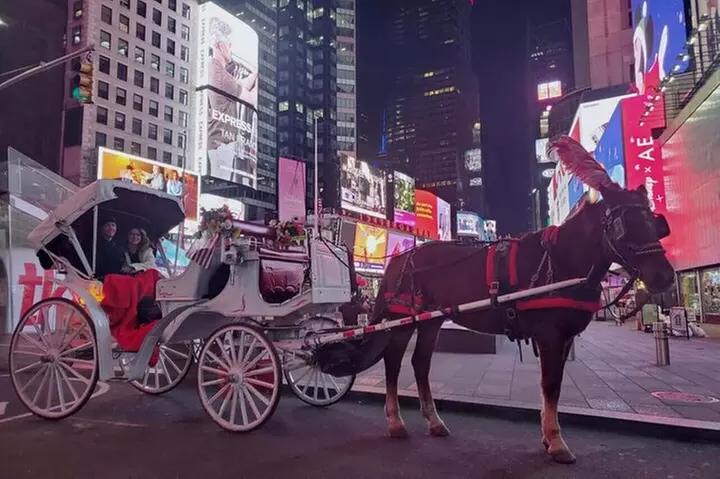 NYC Christmas Light and Rockefeller Center Tour - Primary Image