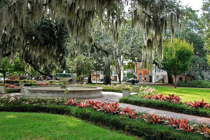 Savannah Land & Sea Combo: City Sightseeing Trolley Tour with River...