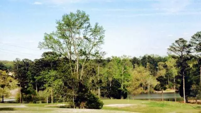 Online Booking - Round of Golf at Pebblebrook Golf Club - Primary Image