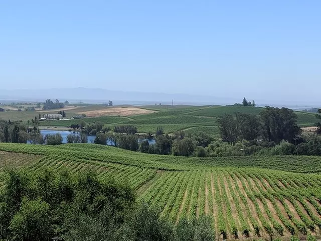 Napa and Sonoma Valley Wine 6 hour Tour from San Francisco - Primary Image