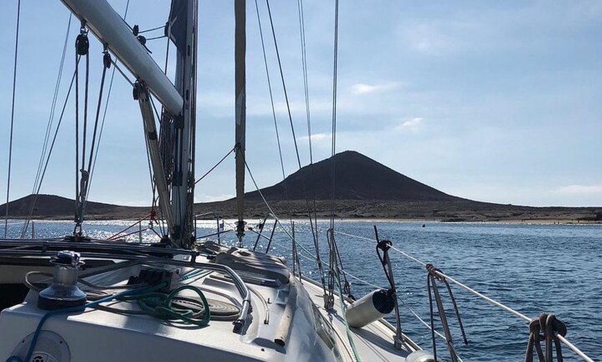 Image 19: Tenerife 3 - Hora Descubre Ballenas y Delfines