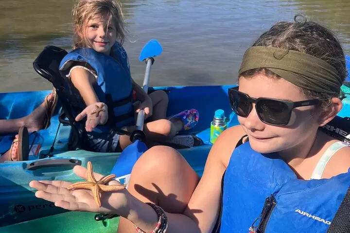 Rookery Bay Kayak Adventure – Mangroves, Wildlife & Photos