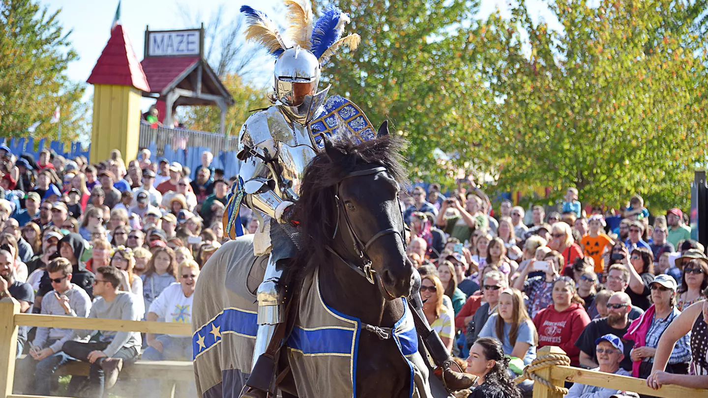 Ohio Renaissance Festival - Primary Image