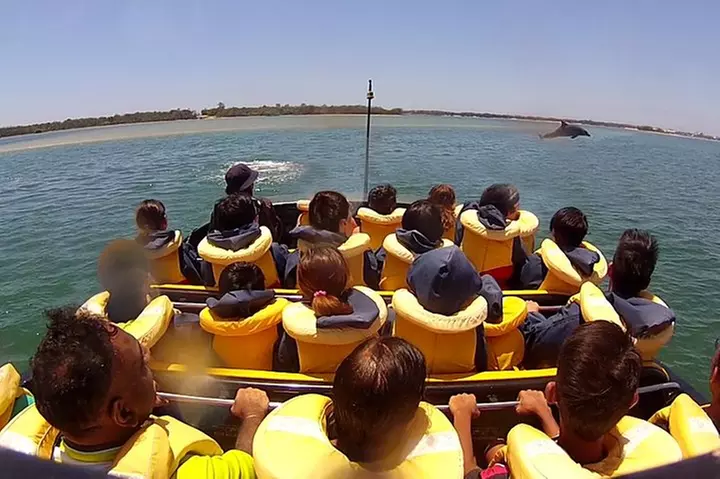 Gold Coast JetBlast Jet Boat Ride – 40-Minute Thrill Experience