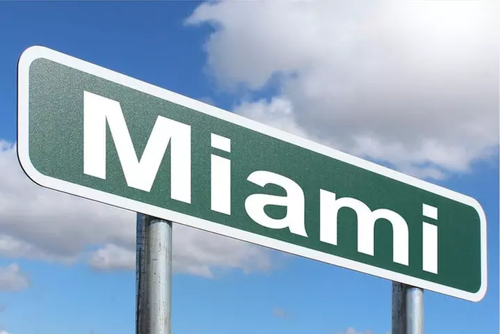 Everglades & Miami city tour with experienced guide in small group