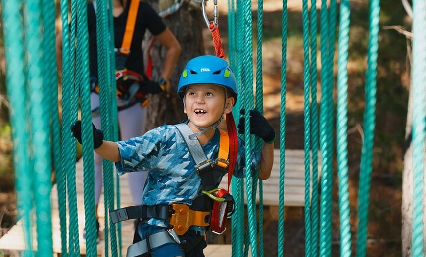 Image 2: Guided Tree Ropes Course Experience in Majura Pines