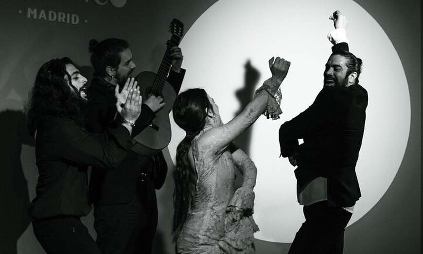 Image 21: Entrada al Centro Cultural Flamenco de Madrid