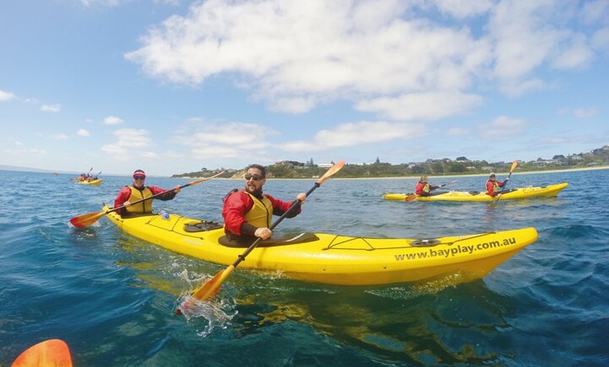 Image 7: Mornington Peninsula Kayak Coastline Tour of Dolphin Sanctuary