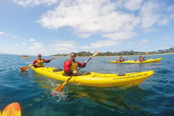 Mornington Peninsula Kayak Coastline Tour of Dolphin Sanctuary