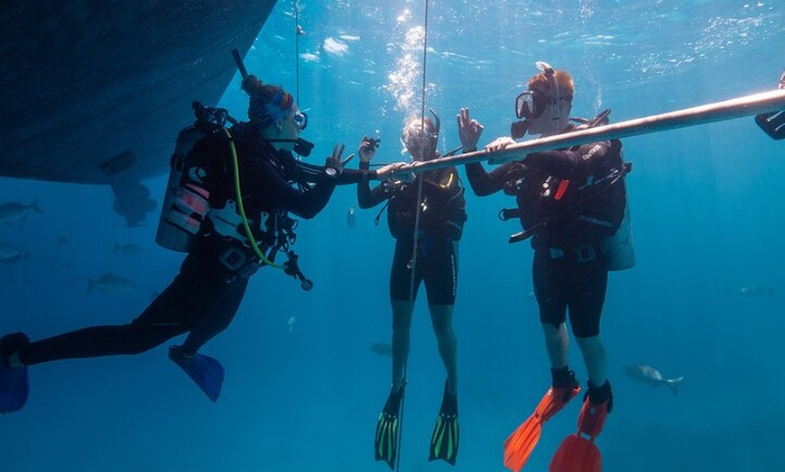 Image 7: Great Barrier Reef Full Day Tour from Cairns