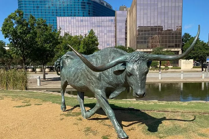 Dallas Highlights Tour