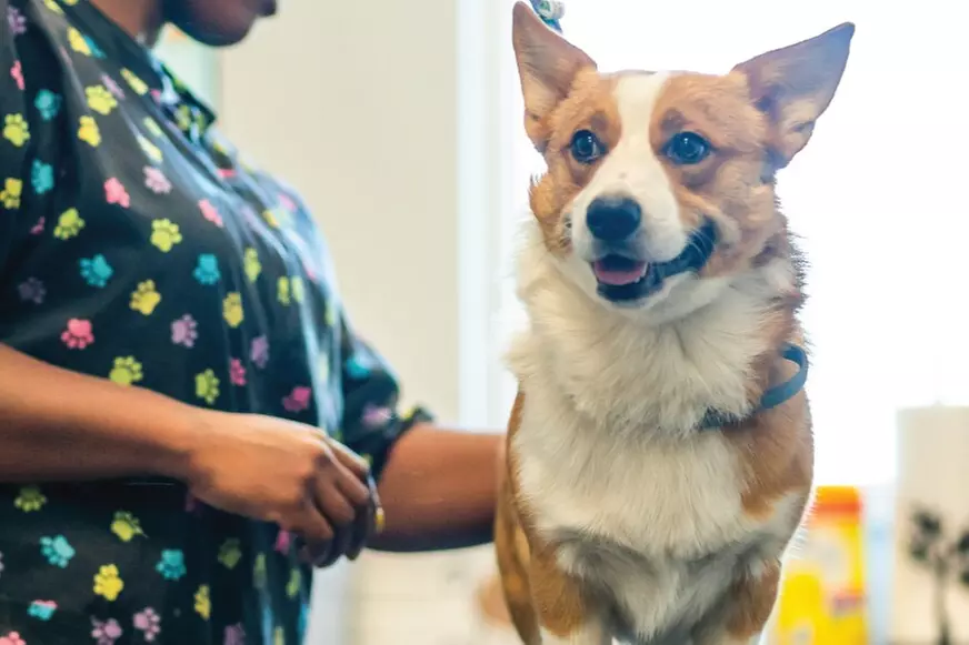 $31 For 2 Days Of All-Day Group Play (Reg. $62)