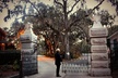 Bonaventure Cemetery After Hours Tour - Second Medium