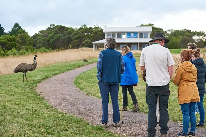 Dusk Discovery Tour - Primary Image