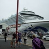 Image 2: Private Seaport Transfer: London to/from Dover Cruise Terminal