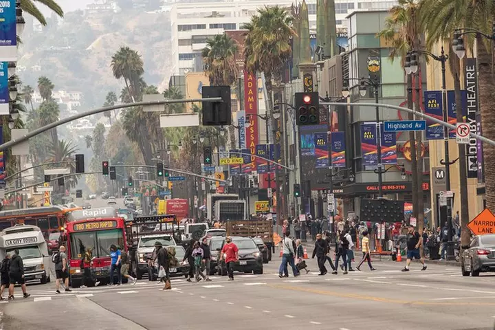 Hollywood Open Bus Tours
