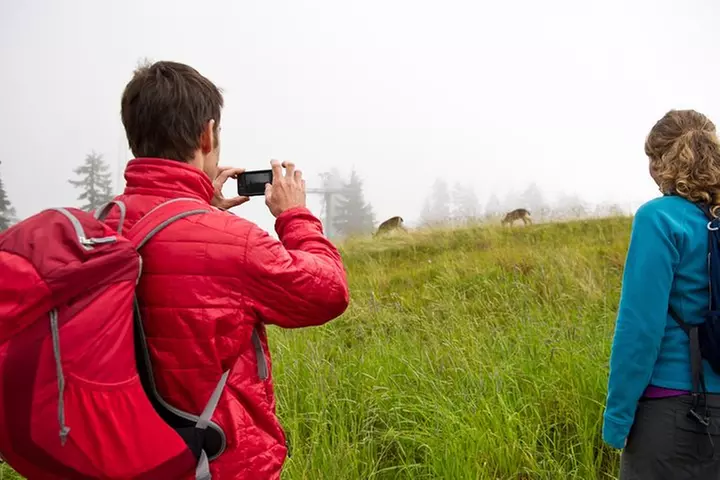 Canmore: Wilderness & Wildlife Tour - 2hr Walk - Primary Image