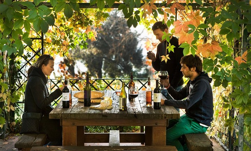 Image 4: Tour di un'azienda vinicola nel Chianti con degustazione di vini