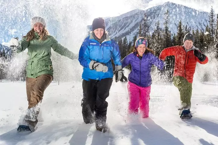 Snowshoeing Tour to the Paint Pots - Primary Image