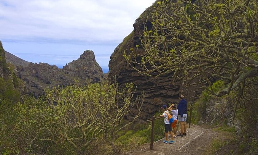 Image 5: Cuevas Negras, Selvas, Cascadas: ¡visite el Tenerife secreto!