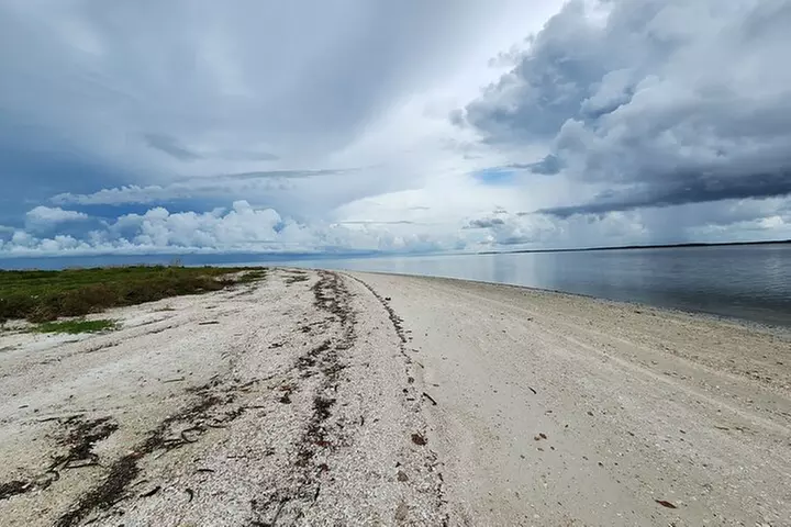 10,000 Islands Boat Tour + Naturalist Led Walk in the Everglades!