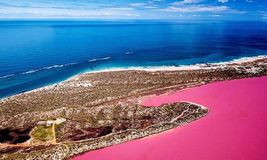 Image 5: Pink Lake Small-Group Buggy Tour