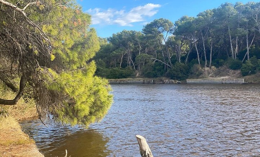 Image 6: Aventura en bicicleta desde Valencia a Humedales y playas de la Alb...