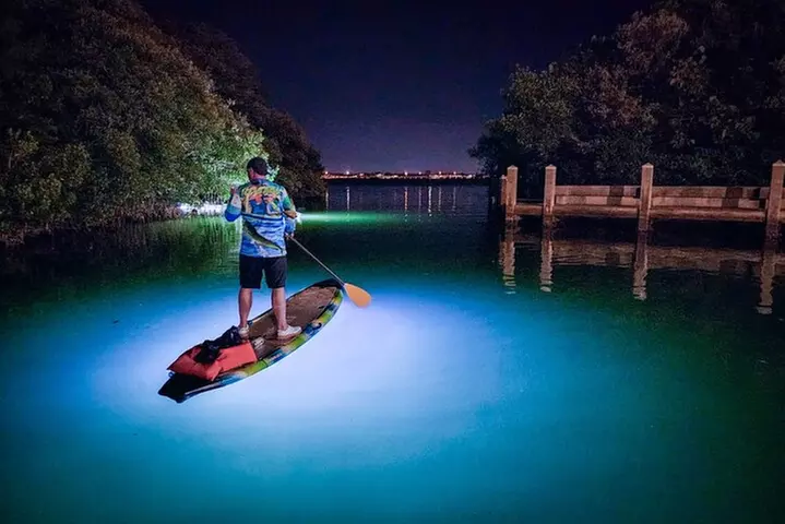 Sarasota - Clear Kayak LED Night Glass Bottom Tour