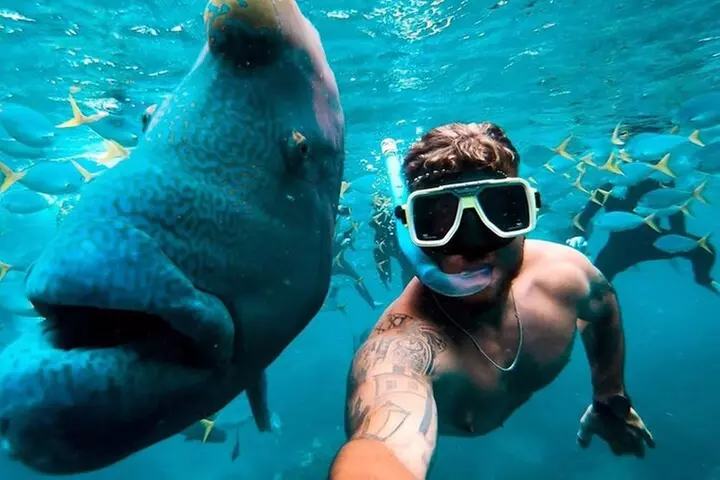 Full-Day Whitsunday Sail and Snorkel Adventure with Lunch