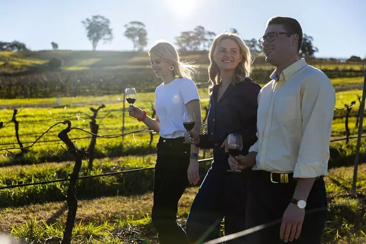 Hunter Valley Wine Tour from Sydney with Lunch and 3 Cellar Door Ta...