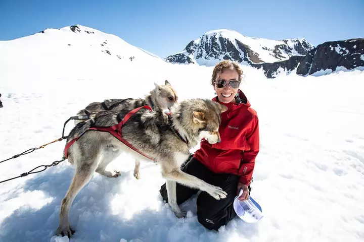 Summer Glacier Dogsledding Tour from Girdwood