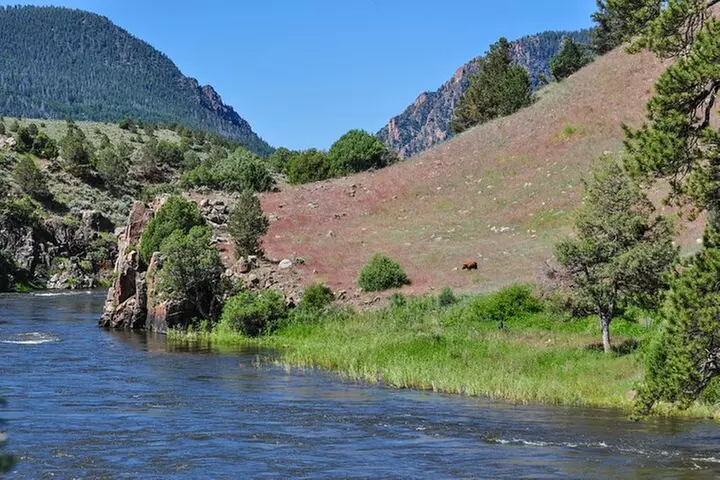 Upper Colorado River Half-Day Float Trip near Kremmling