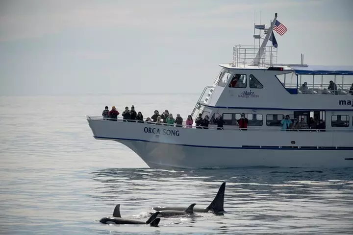 Full-Day Kenai Fjords National Park Northwestern Cruise