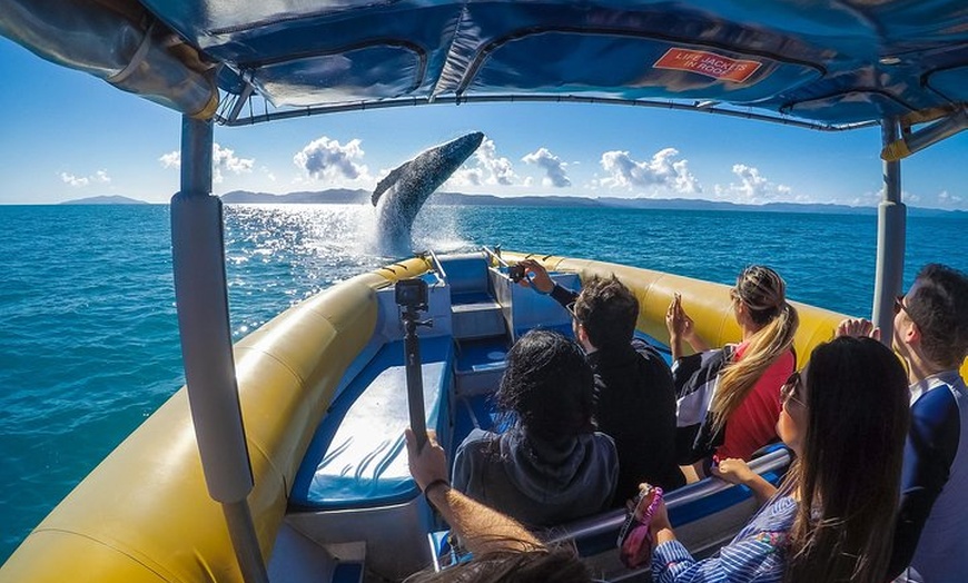 Image 13: Ocean Rafting: Whitehaven Beach, Snorkelling & Hill Inlet Lookout