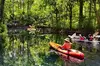 1-Day Silver Springs State Park Small Group Tour from Orlando