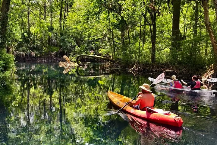 1-Day Silver Springs State Park Small Group Tour from Orlando - Primary Image