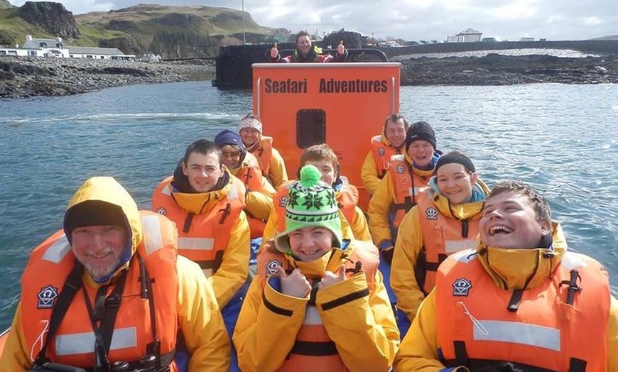 Image 1: Marine Wildlife Tour through Gulf of Corryvreckan