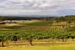 Fully Private and Customisable Hunter Valley Wine Tour - Image 3