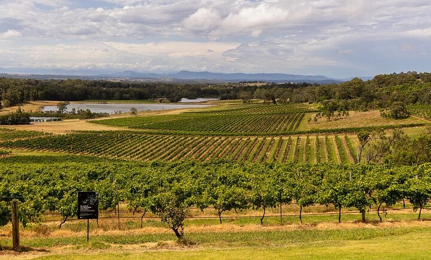 Image 3: Fully Private and Customisable Hunter Valley Wine Tour