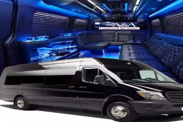 4, 5 or 6 hr Hollywood Private Tour in 12 Pass Mercedes Party Bus - Primary Image