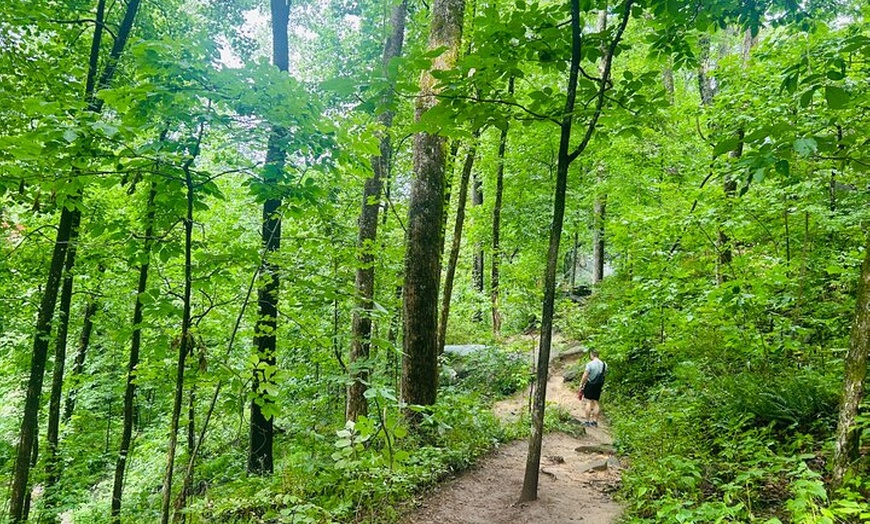 Image 15: Yonah Mountain Hike Private Tour in Georgia