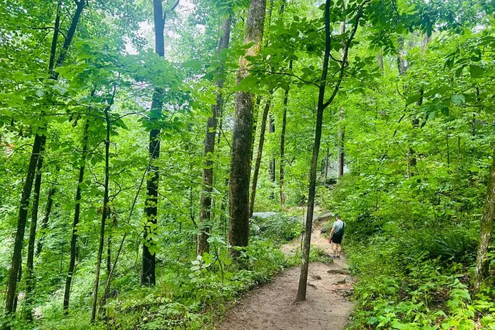 Yonah Mountain Hike Private Tour in Georgia